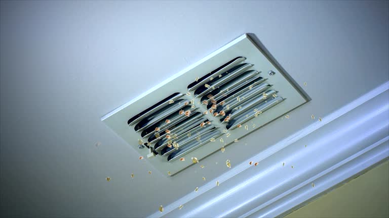 Best Duct Cleaning for Offices  in Bryant, WA